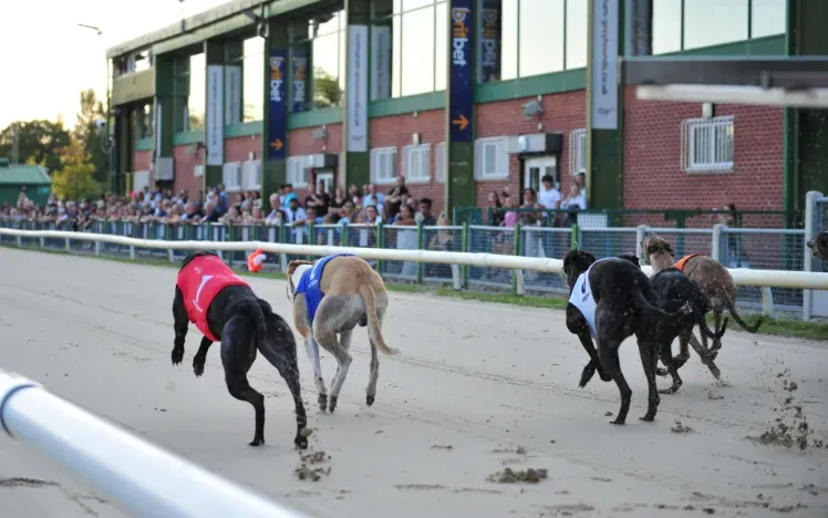 Nottingham Greyhounds.