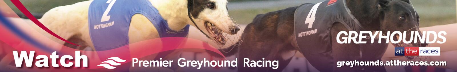 greyhounds at the races, greyhound racing, Nottingham Greyhound Stadium